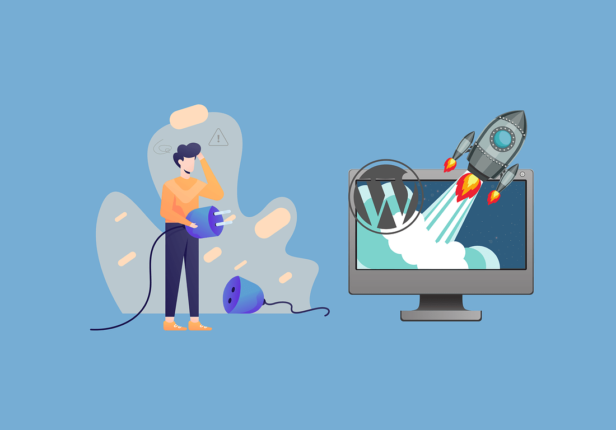 WordPress maatwerk plugin