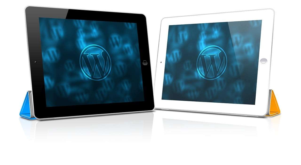 WordPress designer Antwerpen