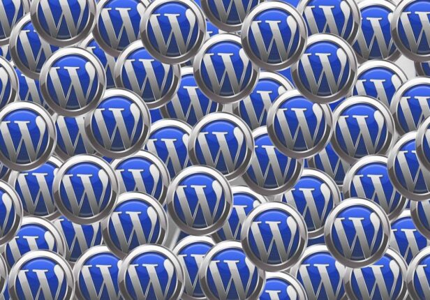 WordPress webdesigner inschakelen
