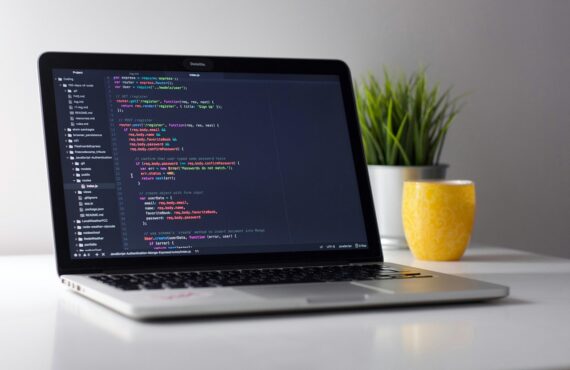 WordPress expert inhuren