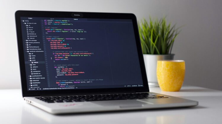 WordPress expert inhuren