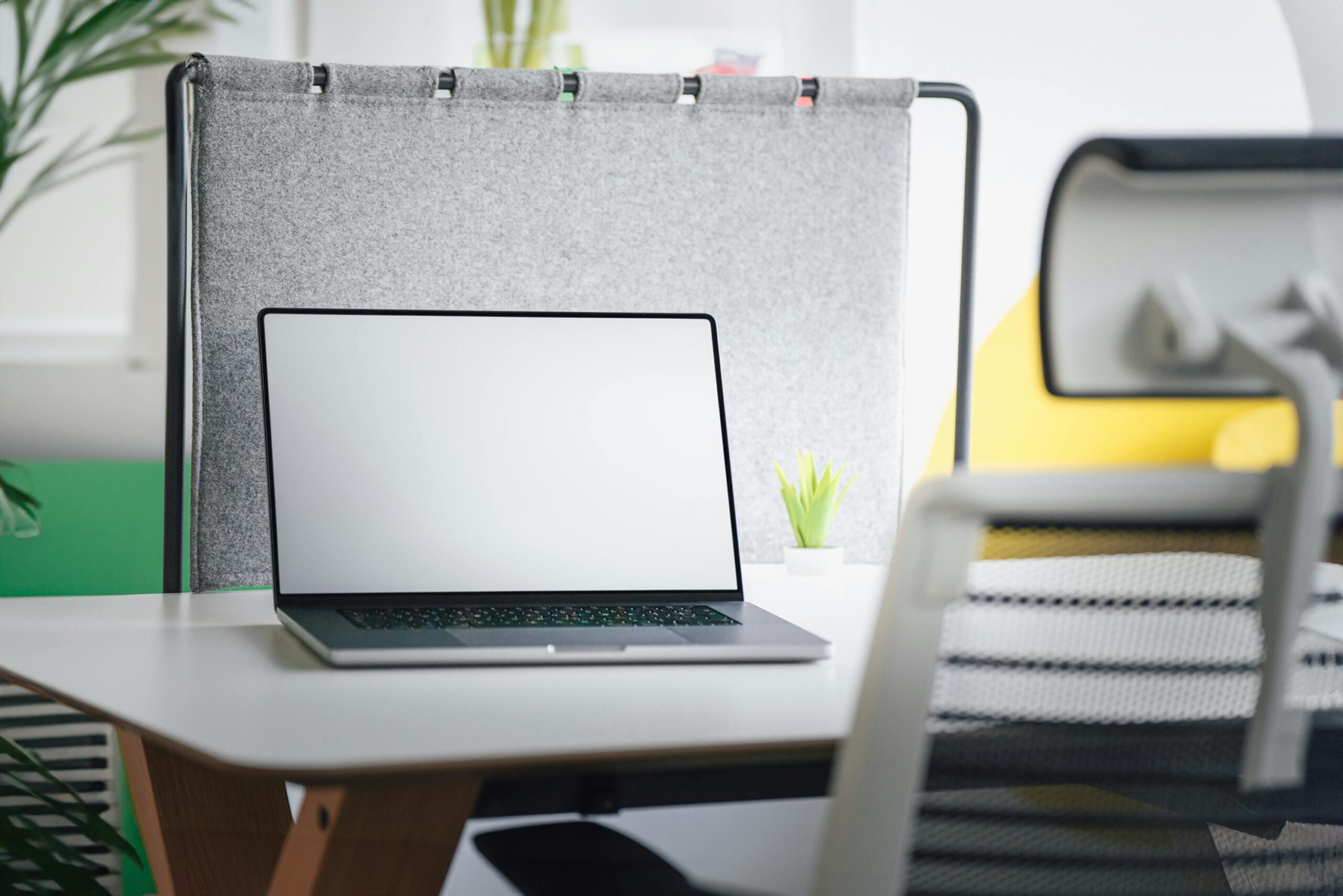 WordPress website laten maken in Antwerpen?