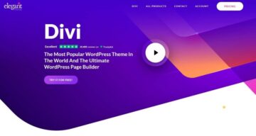 WordPress Divi handleidin