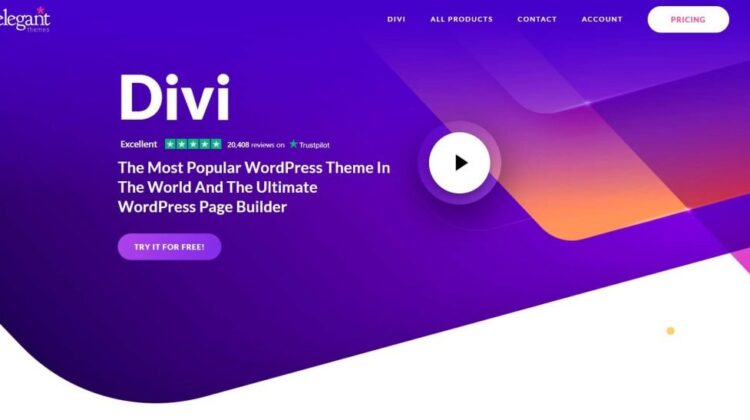 WordPress Divi handleidin