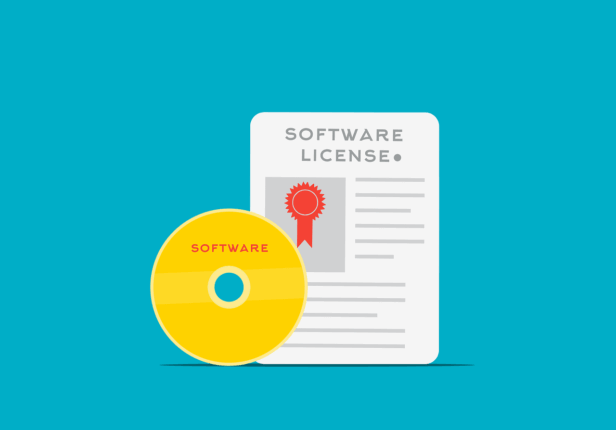 SaaS platform laten maken: bouw jouw digitale succes met Sanum Webdesign